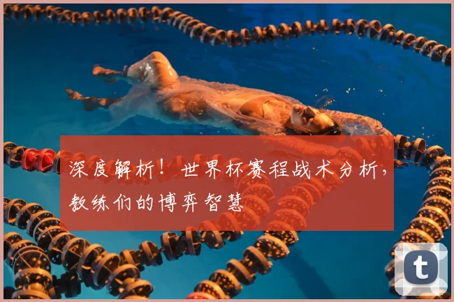 深度解析!世界杯赛程战术分析,教练们的博弈智慧