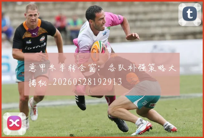 意甲冬季转会窗：各队补强策略大揭秘_20260528192913