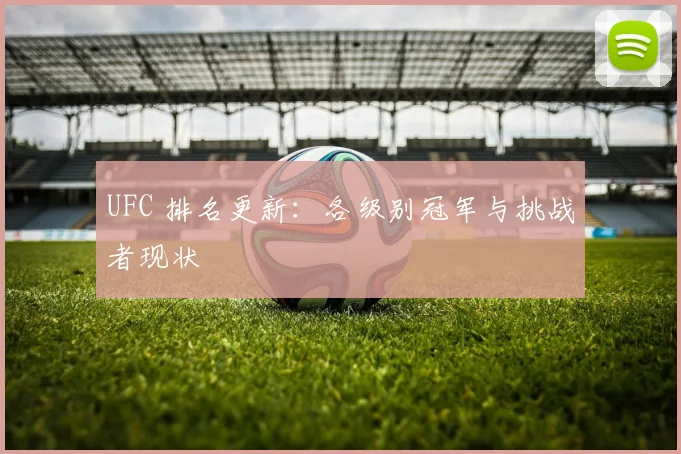 UFC 排名更新：各级别冠军与挑战者现状
