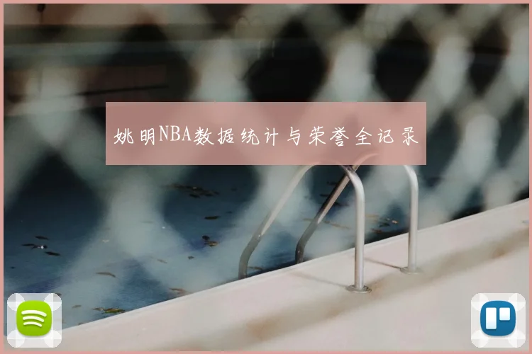 姚明NBA数据统计与荣誉全记录